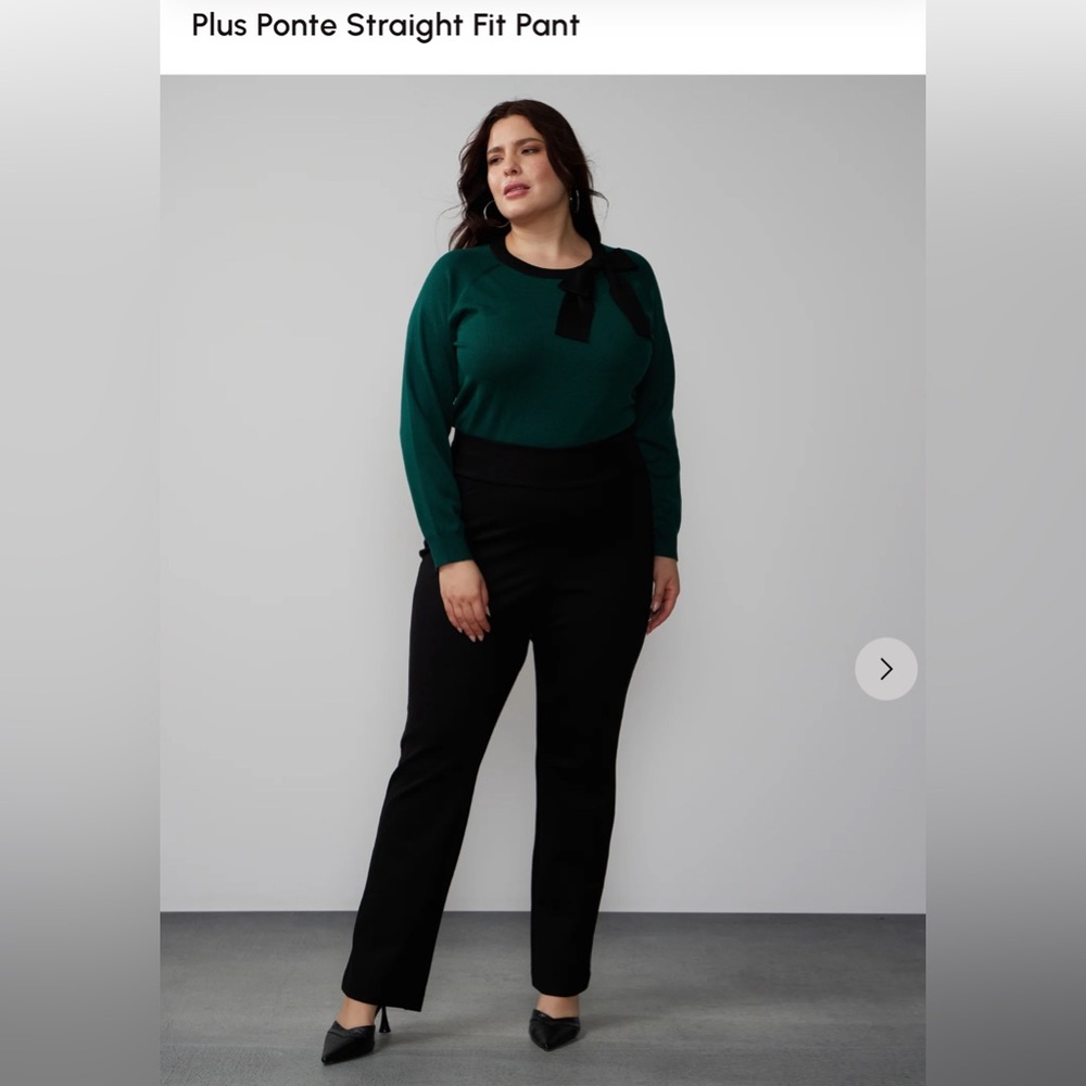 Straight dress pantss
